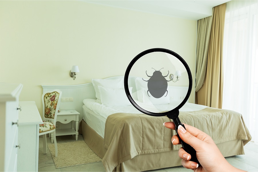 Providers Offering Effective Approaches for Bed Bug Control in Greenwood